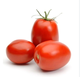 Hybrid Red Tomato