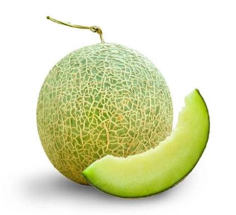 Muskmelon