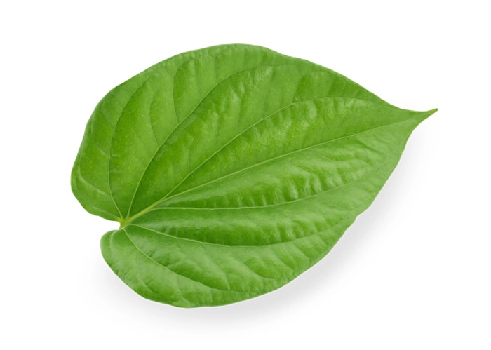 Betel Leaves (Paan Patta)